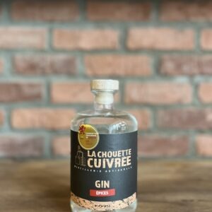 Gin épices